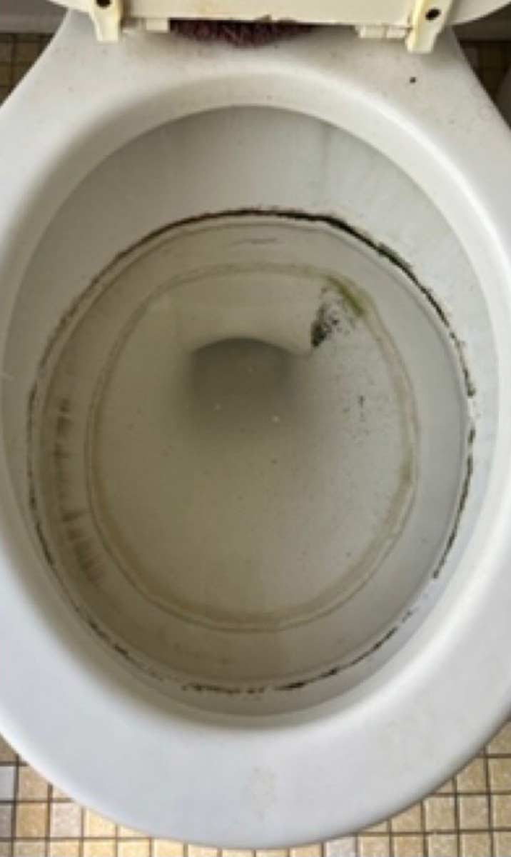 toilet-after